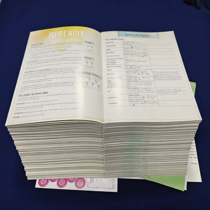 Game_Master_(DMGM)_Guidebooks